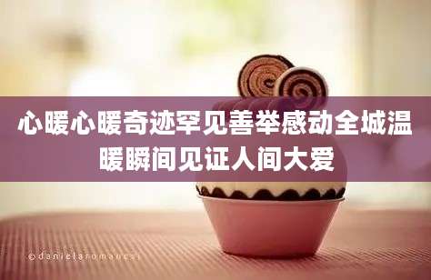 心暖心暖奇迹罕见善举感动全城温暖瞬间见证人间大爱