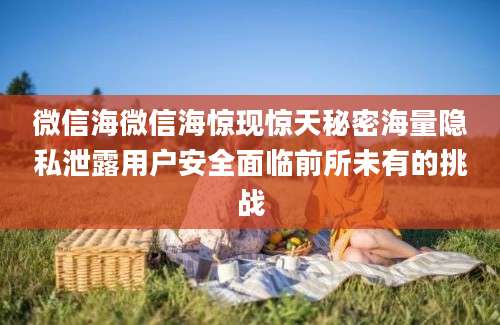 微信海微信海惊现惊天秘密海量隐私泄露用户安全面临前所未有的挑战