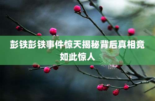 彭铁彭铁事件惊天揭秘背后真相竟如此惊人