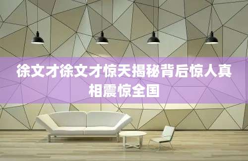 徐文才徐文才惊天揭秘背后惊人真相震惊全国