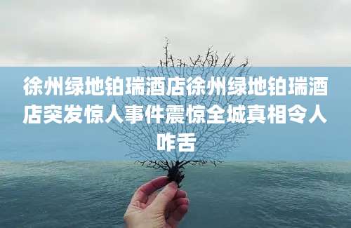 徐州绿地铂瑞酒店徐州绿地铂瑞酒店突发惊人事件震惊全城真相令人咋舌