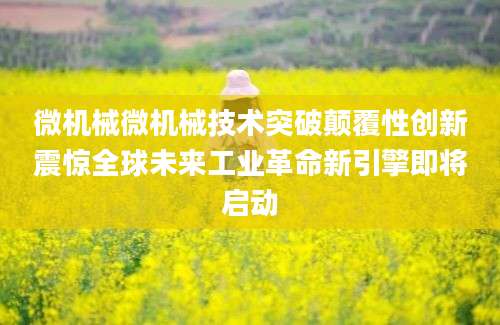 微机械微机械技术突破颠覆性创新震惊全球未来工业革命新引擎即将启动