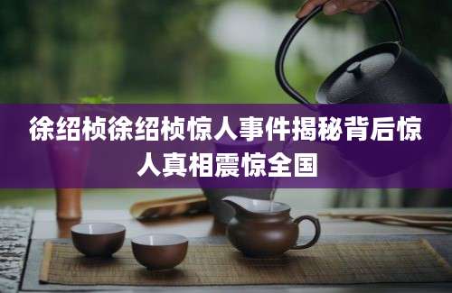 徐绍桢徐绍桢惊人事件揭秘背后惊人真相震惊全国