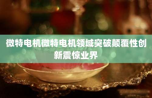 微特电机微特电机领域突破颠覆性创新震惊业界