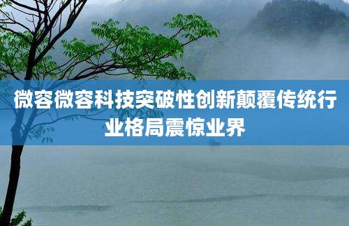 微容微容科技突破性创新颠覆传统行业格局震惊业界