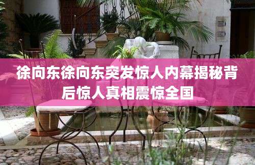 徐向东徐向东突发惊人内幕揭秘背后惊人真相震惊全国
