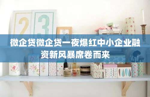 微企贷微企贷一夜爆红中小企业融资新风暴席卷而来