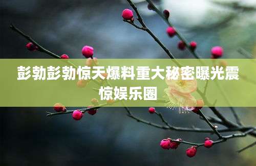 彭勃彭勃惊天爆料重大秘密曝光震惊娱乐圈