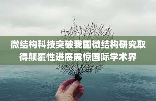 微结构科技突破我国微结构研究取得颠覆性进展震惊国际学术界