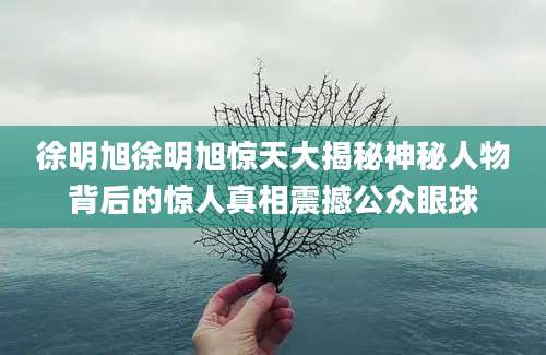 徐明旭徐明旭惊天大揭秘神秘人物背后的惊人真相震撼公众眼球