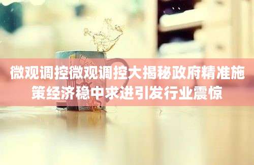 微观调控微观调控大揭秘政府精准施策经济稳中求进引发行业震惊