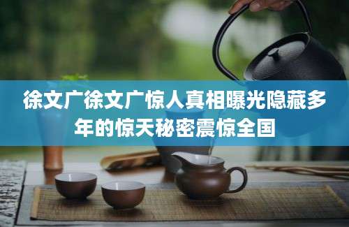 徐文广徐文广惊人真相曝光隐藏多年的惊天秘密震惊全国