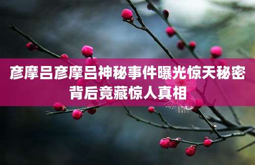 彦摩吕彦摩吕神秘事件曝光惊天秘密背后竟藏惊人真相