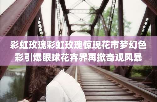 彩虹玫瑰彩虹玫瑰惊现花市梦幻色彩引爆眼球花卉界再掀奇观风暴