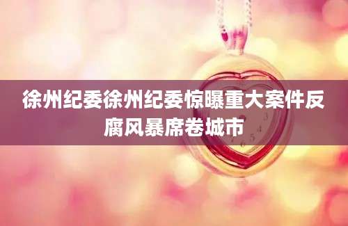 徐州纪委徐州纪委惊曝重大案件反腐风暴席卷城市
