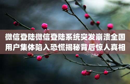 微信登陆微信登陆系统突发崩溃全国用户集体陷入恐慌揭秘背后惊人真相