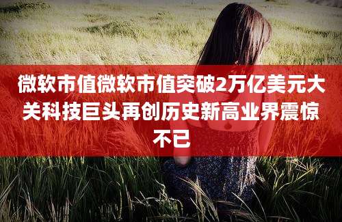微软市值微软市值突破2万亿美元大关科技巨头再创历史新高业界震惊不已