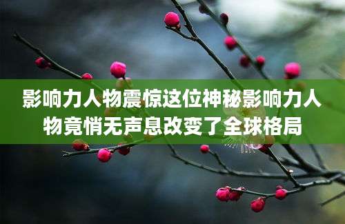 影响力人物震惊这位神秘影响力人物竟悄无声息改变了全球格局
