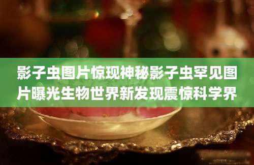 影子虫图片惊现神秘影子虫罕见图片曝光生物世界新发现震惊科学界