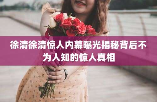 徐清徐清惊人内幕曝光揭秘背后不为人知的惊人真相