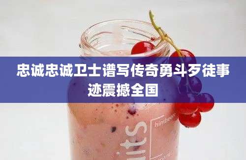忠诚忠诚卫士谱写传奇勇斗歹徒事迹震撼全国