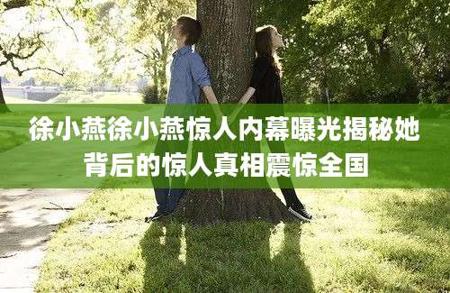 徐小燕徐小燕惊人内幕曝光揭秘她背后的惊人真相震惊全国
