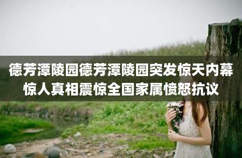 德芳潭陵园德芳潭陵园突发惊天内幕惊人真相震惊全国家属愤怒抗议