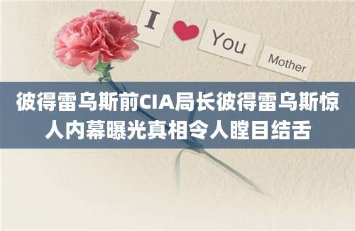 彼得雷乌斯前CIA局长彼得雷乌斯惊人内幕曝光真相令人瞠目结舌