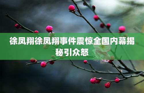 徐凤翔徐凤翔事件震惊全国内幕揭秘引众怒