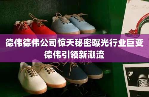 德伟德伟公司惊天秘密曝光行业巨变德伟引领新潮流