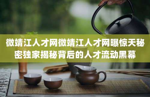 微靖江人才网微靖江人才网曝惊天秘密独家揭秘背后的人才流动黑幕