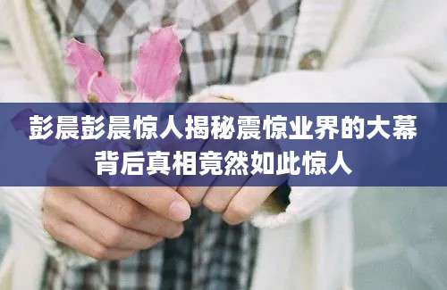 彭晨彭晨惊人揭秘震惊业界的大幕背后真相竟然如此惊人