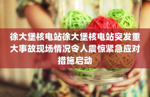 徐大堡核电站徐大堡核电站突发重大事故现场情况令人震惊紧急应对措施启动