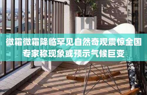 微霜微霜降临罕见自然奇观震惊全国专家称现象或预示气候巨变