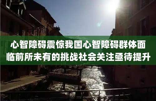 心智障碍震惊我国心智障碍群体面临前所未有的挑战社会关注亟待提升