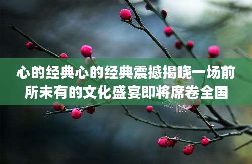 心的经典心的经典震撼揭晓一场前所未有的文化盛宴即将席卷全国