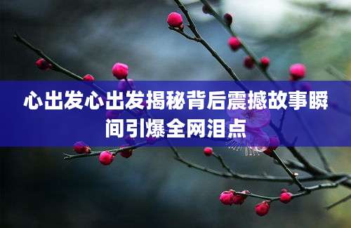 心出发心出发揭秘背后震撼故事瞬间引爆全网泪点