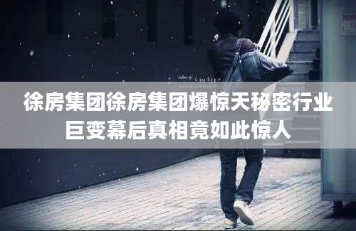 徐房集团徐房集团爆惊天秘密行业巨变幕后真相竟如此惊人