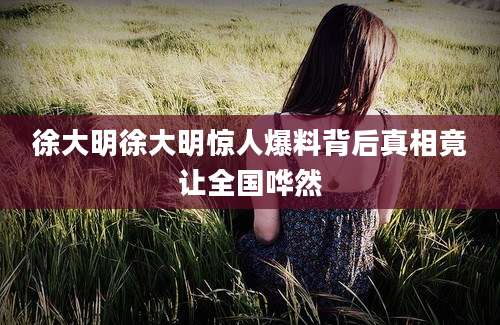 徐大明徐大明惊人爆料背后真相竟让全国哗然