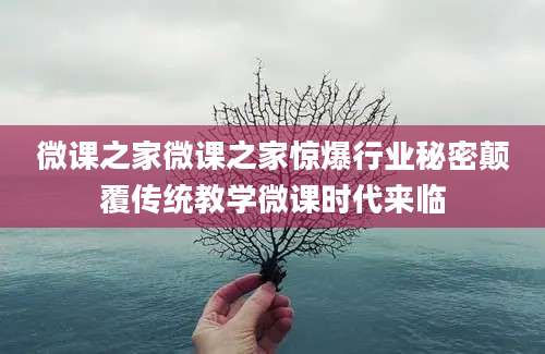 微课之家微课之家惊爆行业秘密颠覆传统教学微课时代来临