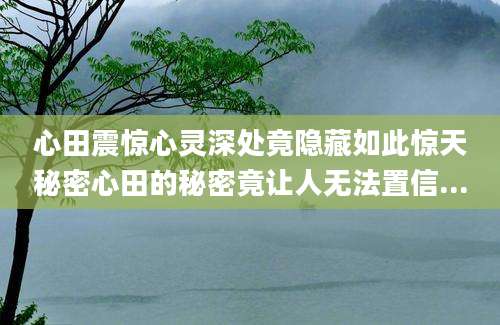 心田震惊心灵深处竟隐藏如此惊天秘密心田的秘密竟让人无法置信...