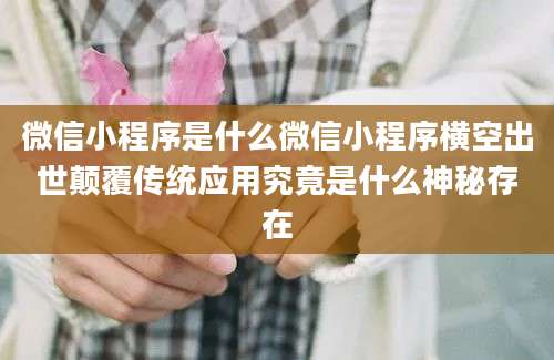 微信小程序是什么微信小程序横空出世颠覆传统应用究竟是什么神秘存在