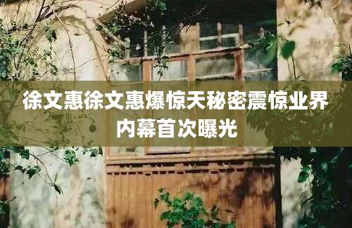徐文惠徐文惠爆惊天秘密震惊业界内幕首次曝光