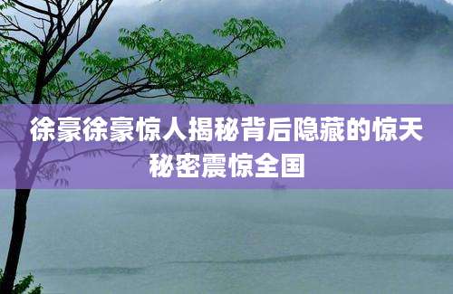 徐豪徐豪惊人揭秘背后隐藏的惊天秘密震惊全国