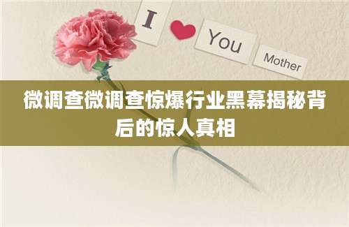 微调查微调查惊爆行业黑幕揭秘背后的惊人真相