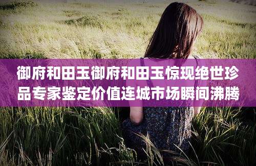 御府和田玉御府和田玉惊现绝世珍品专家鉴定价值连城市场瞬间沸腾