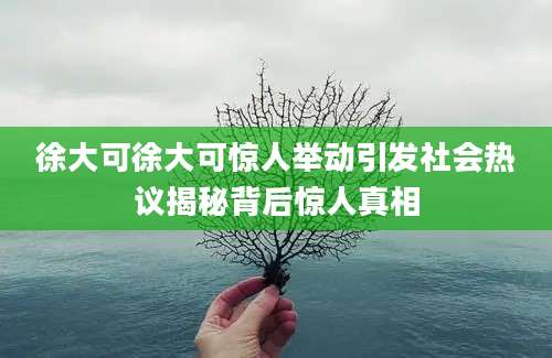 徐大可徐大可惊人举动引发社会热议揭秘背后惊人真相