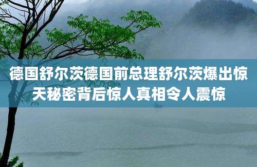 德国舒尔茨德国前总理舒尔茨爆出惊天秘密背后惊人真相令人震惊