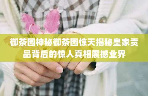 御茶园神秘御茶园惊天揭秘皇家贡品背后的惊人真相震撼业界