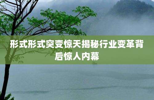 形式形式突变惊天揭秘行业变革背后惊人内幕